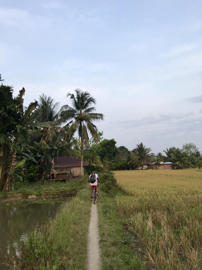 Villa Paradise Bukit Lawang Bagian luar foto
