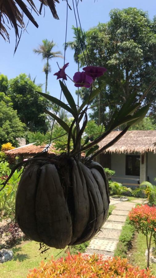 Villa Paradise Bukit Lawang Bagian luar foto