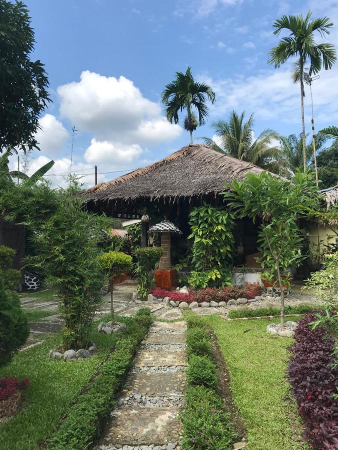 Villa Paradise Bukit Lawang Bagian luar foto